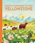 Catherine Ard: Yellowstone, Buch