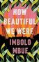 Imbolo Mbue: How Beautiful We Were, Buch