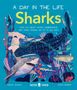 Carlee Jackson: Sharks (A Day in the Life), Buch