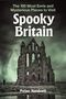 "Spooky Britain" von Peter Naldrett. Ruine einer gotischen Abtei vor stürmischem, grünlich-düsterem Himmel., Buch