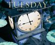 David Wiesner: Tuesday, Buch