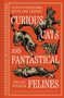 Willow Winsham: Curious Cats and Fantastical Felines, Buch, Buch