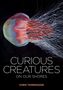 Chris Thorogood: Curious Creatures on our Shores, Buch