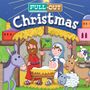 Josh Edwards: Pull-Out Christmas, Buch