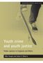 Mike Hough: Youth crime and youth justice, Buch