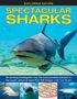 Michael Bright: Spectacular Sharks: An Exciting Investigation Into the Most Powerful Predator in the Ocean, Shown in More Than 200 Images, Buch