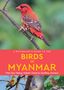 Thet Zaw Naing: A Naturalist's Guide to the Birds of Myanmar, Buch