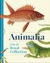 Andrew Brown: Animalia, Buch