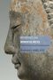 Bhikkhu Analayo: Introducing Mindfulness, Buch, Buch