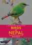 "A Naturalist's Guide to the Birds of Nepal" von Bikram Grewal. Oben ein Vogel auf Zweig, unten Bilder anderer Vögel.