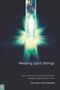 Bob Woodward: Meeting Spirit Beings, Buch