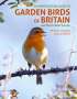 Dominic Couzens: An ID Guide to Garden Birds of Britain, Buch