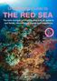 Lawson Wood: An Underwater Guide to the Red Sea (2nd), Buch