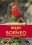 Text: "Birds of Borneo: Sabah, Sarawak, Brunei and Kalimantan. Wong Tsu Shi." Vogelbilder auf rotem Hintergrund.