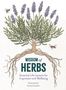 Alison Davies: Wisdom of Herbs, Buch