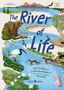 "The River of Life" und "A lift-the-flap book... around the world". Tiere an einem Fluss: Bär, Vögel, Fische, Otter.