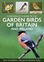 Titel: A Naturalist's Guide to the Garden Birds of Britain and Ireland. Drei kleine Vogelbilder oben., Buch