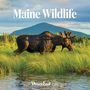 Down East Magazine: 2025 Maine Wildlife Wall Calendar, Kalender