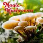 Brush Dance: Magic Mushrooms 2025 12 X 24 Inch Monthly Square Wall Calendar Plastic-Free, Kalender