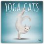 BrownTrout Publisher: Yoga Cats - Yoga-Katzen 2025 - 16-Monatskalender, Kalender