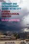 Text: "Ordinary and Extraordinary Harms in the City: A Green Criminological Analysis" von Kajsa Lundberg. Unterhalb der Titelaufnahme ist eine Stadtlandschaft mit dramatischem Himmel zu sehen.