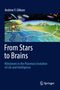 Andrew Y. Glikson: From Stars to Brains: Milestones in the Planetary Evolution of Life and Intelligence, Buch