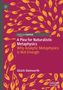 Ulrich Steinvorth: A Plea for Naturalistic Metaphysics, Buch