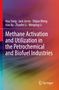 Hua Song: Methane Activation and Utilization in the Petrochemical and Biofuel Industries, Buch