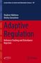 Dmitry Gerasimov: Adaptive Regulation, Buch