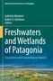 Freshwaters and Wetlands of Patagonia, Buch