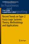 Recent Trends on Type-2 Fuzzy Logic Systems: Theory, Methodology and Applications, Buch