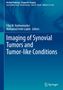 Imaging of Synovial Tumors and Tumor-like Conditions, Buch