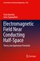 Artur Zaporozhets: Electromagnetic Field Near Conducting Half-Space, Buch