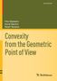 Vitor Balestro: Convexity from the Geometric Point of View, Buch