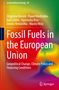 Zbigniew Korzeb: Fossil Fuels in the European Union, Buch