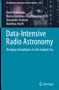 Data-Intensive Radio Astronomy, Buch