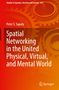 Peter S. Sapaty: Spatial Networking in the United Physical, Virtual, and Mental World, Buch