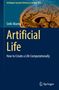 Seiki Akama: Artificial Life, Buch