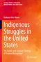 "Indigenous Struggles in the United States" von Barbara Alice Mann, mit einem dynamischen orange-roten Hintergrund., Buch