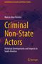 Marcos Alan Ferreira: Criminal Non-State Actors, Buch, Buch