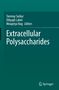 Titel: Extracellular Polysaccharides. Herausgeber: Tanmay Sarkar, Dibyajit Lahiri, Moupriya Nag. Grüner Hintergrund. Springer-Logo unten., Buch