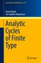 "Analytic Cycles of Finite Type" von Daniel Barlet und Jón Ingólfur Magnússon. Springer-Logo unten rechts., Buch