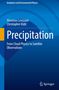 Vincenzo Levizzani: Precipitation, Buch