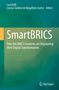 Oben: Luca Belli, Larissa Galdino de Magalhães Santos, Editors. Mittig: SmartBRICS. Unten: Springer-Logo. Hintergrund: grün., Buch