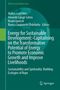 Energy for Sustainable Development, Buch