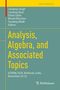Analysis, Algebra, and Associated Topics, Buch