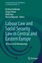 Labour Law and Social Security Law in Central and Eastern Europe, Buch