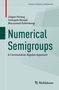 Jürgen Herzog: Numerical Semigroups, Buch