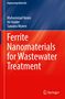 „Ferrite Nanomaterials for Wastewater Treatment“ steht in Weiß auf orangefarbenem Hintergrund. Springer-Logo unten., Buch