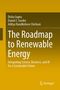 Disha Gupta: The Roadmap to Renewable Energy, Buch